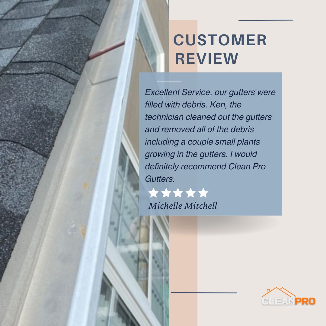 Michelle from Newport News, VA gives us a 5 star review for a recent gutter cleaning service.