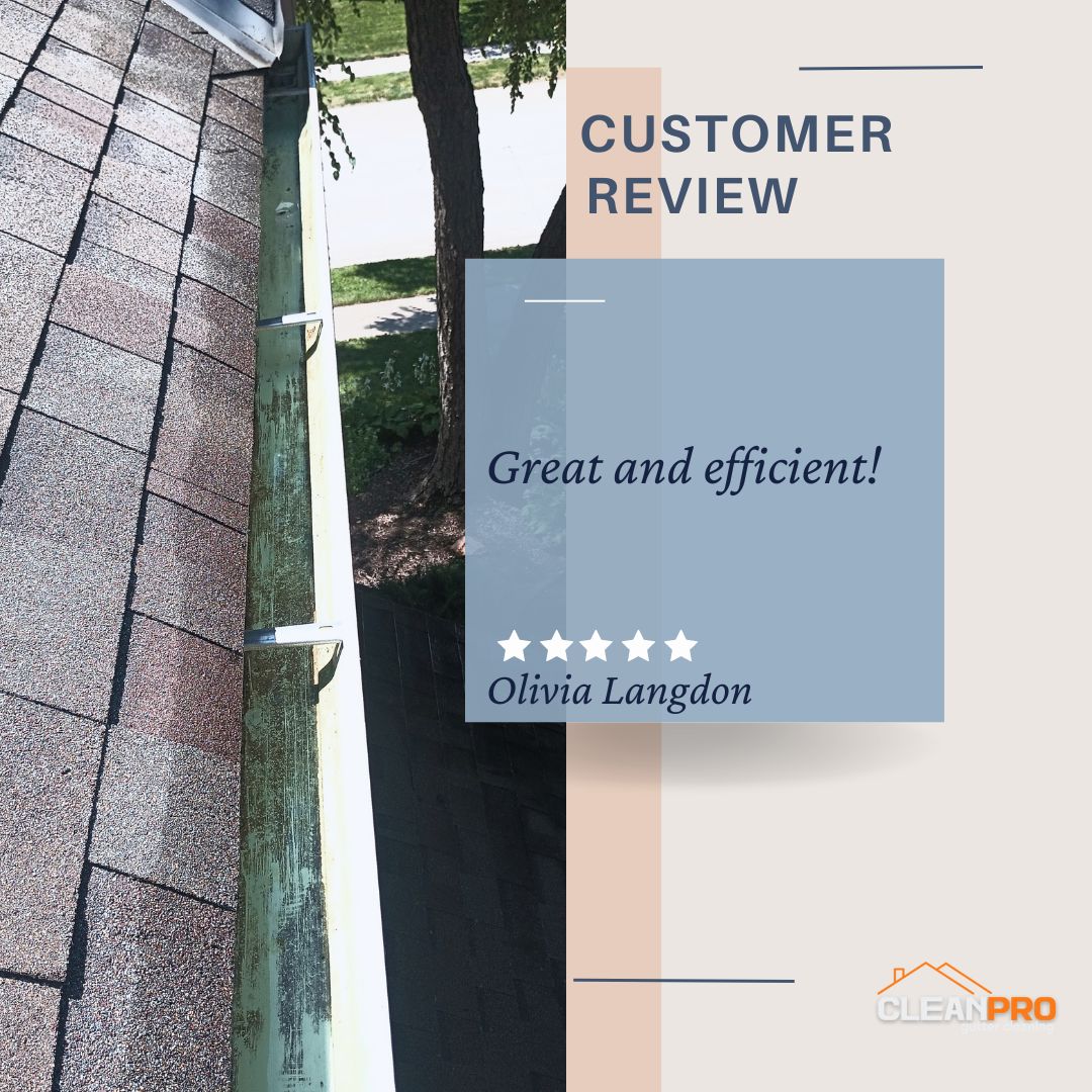 Olivia from Omaha, NE gives us a 5 star review for a recent gutter cleaning service.
