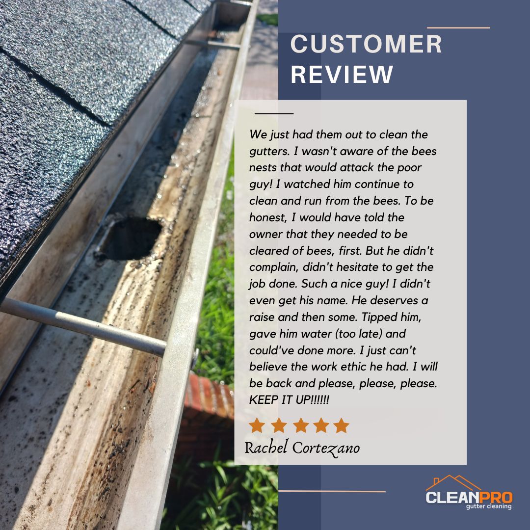 Rachel from Naples, FL gives us a 5 star review for a recent gutter cleaning service.