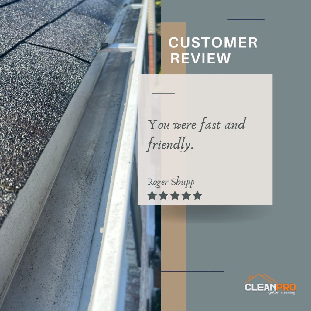 Roger from Alexandria, VA gives us a 5 star review for a recent gutter cleaning service.