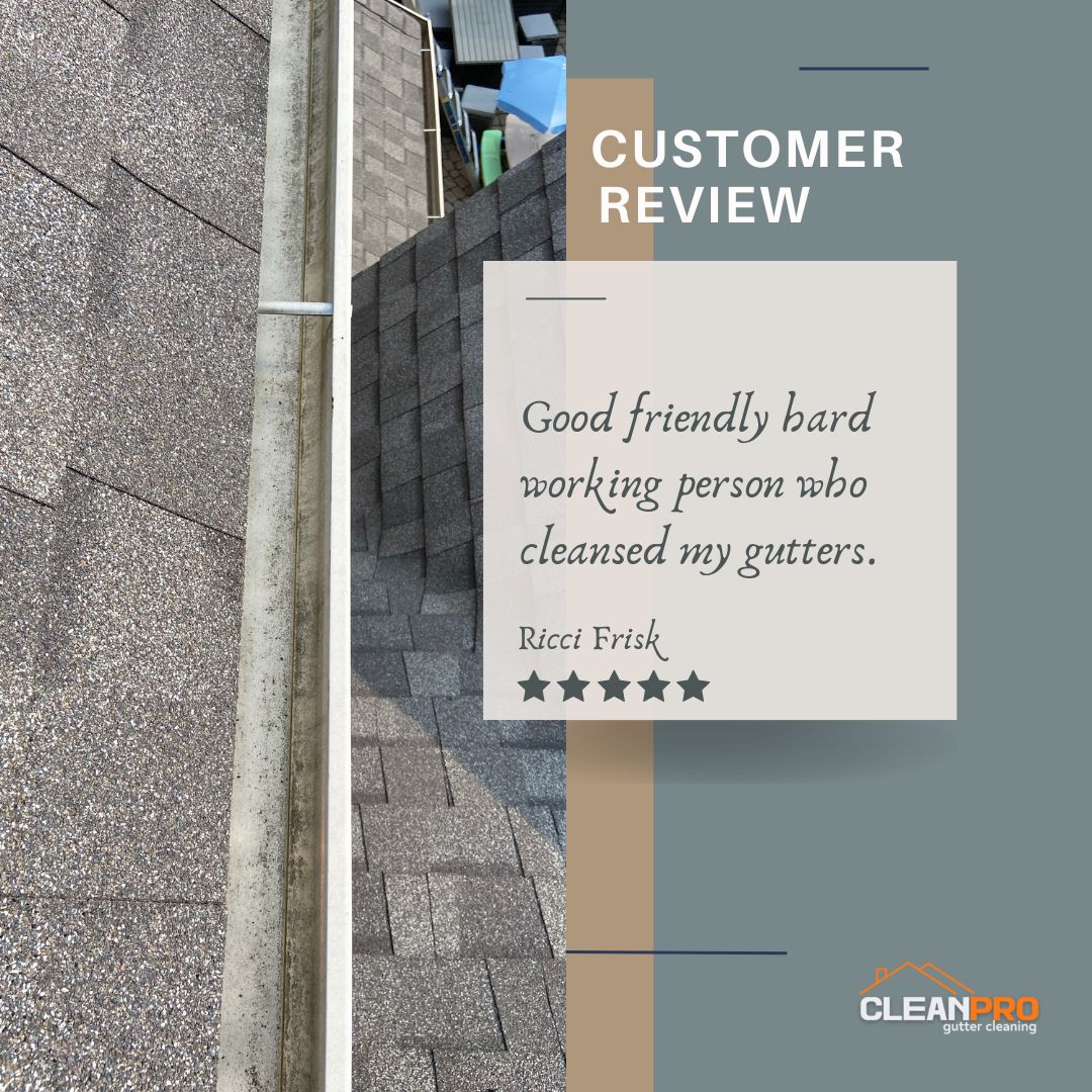 Ricci Frisk from Spokane, WA gives us a 5 star review for a recent gutter cleaning service.