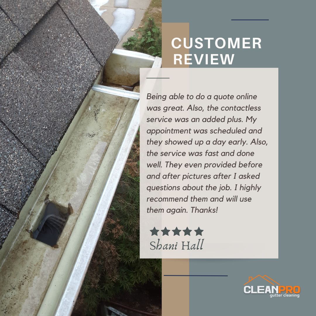 Shani in Madison, WI gives us a 5 star review for a recent gutter cleaning service.