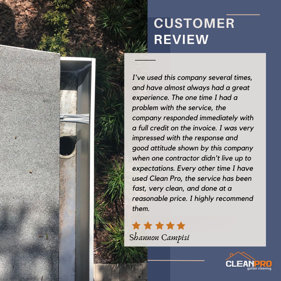 Shannon in Philadelphia, PA gives us a 5 star review for a recent gutter cleaning service.
