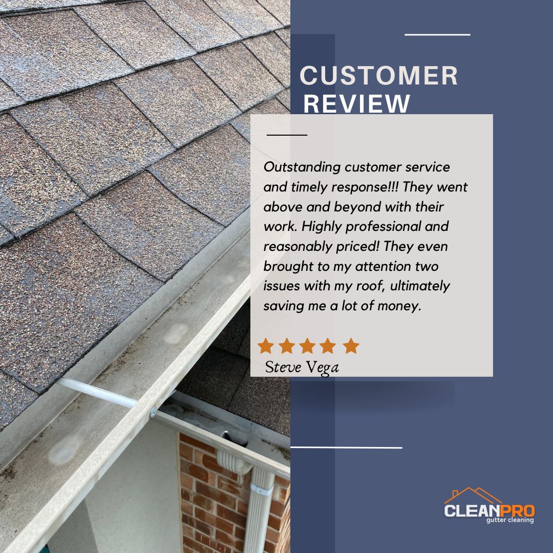 Steve Vega from Rochester, NY gives us a 5 star review for a recent gutter cleaning service.