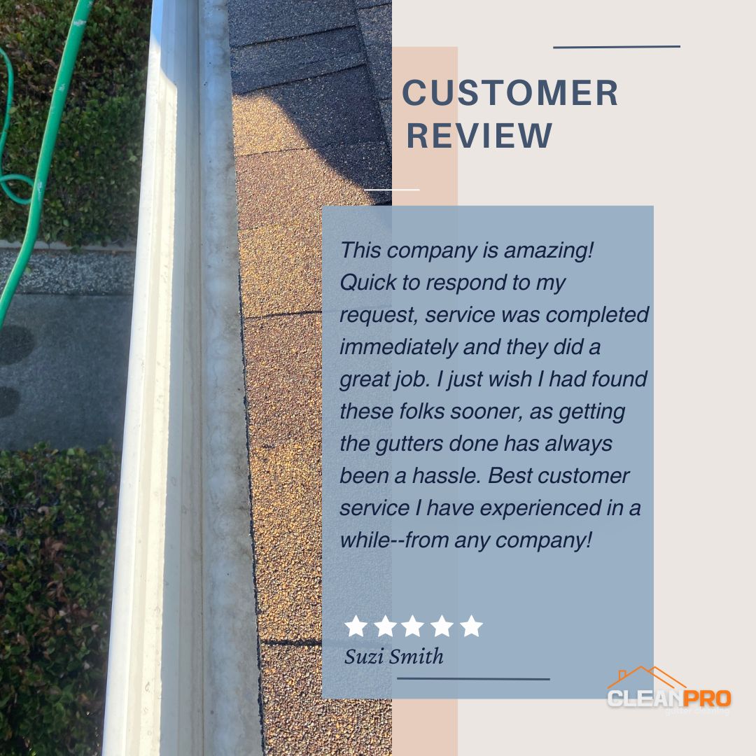 Suzi in Detroit, MI gives us a 5 star review for a recent gutter cleaning service.