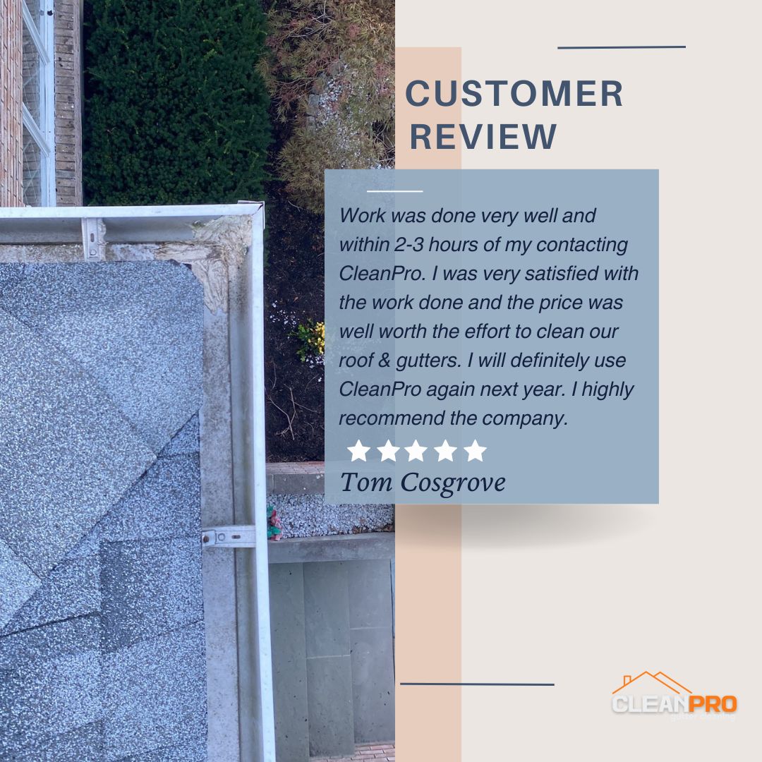 Tom from Minneapolis, MN gives us a 5 star review for a recent gutter cleaning service.