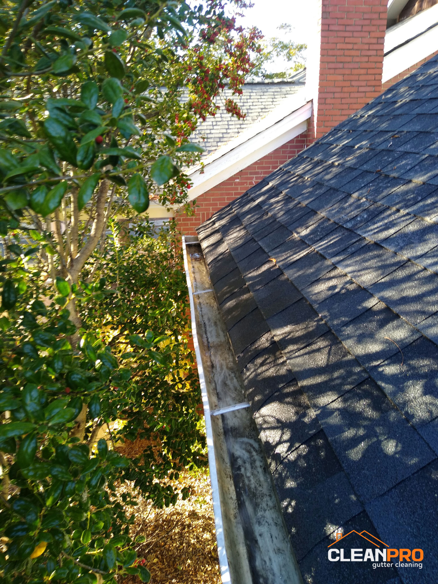 Springfield Gutter Cleaning Done for Jake's Home