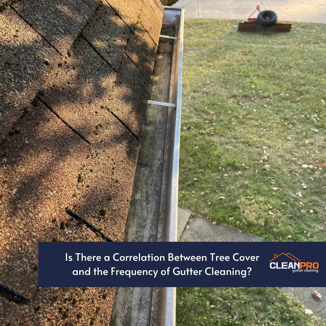 Is There a Correlation Between Tree Cover and the Frequency of Gutter Cleaning?