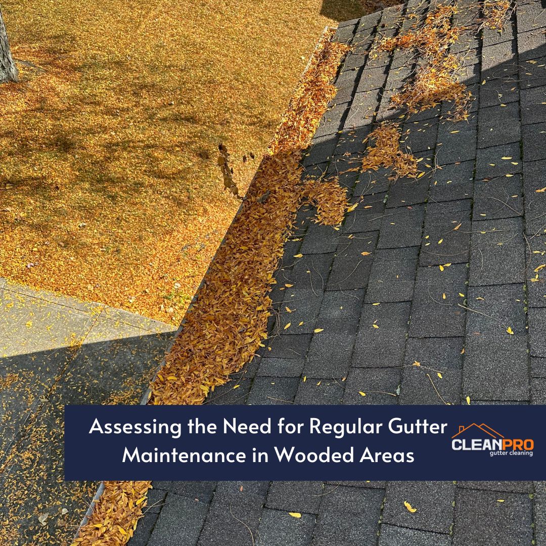 Assessing the Need for Regular Gutter Maintenance in Wooded Areas