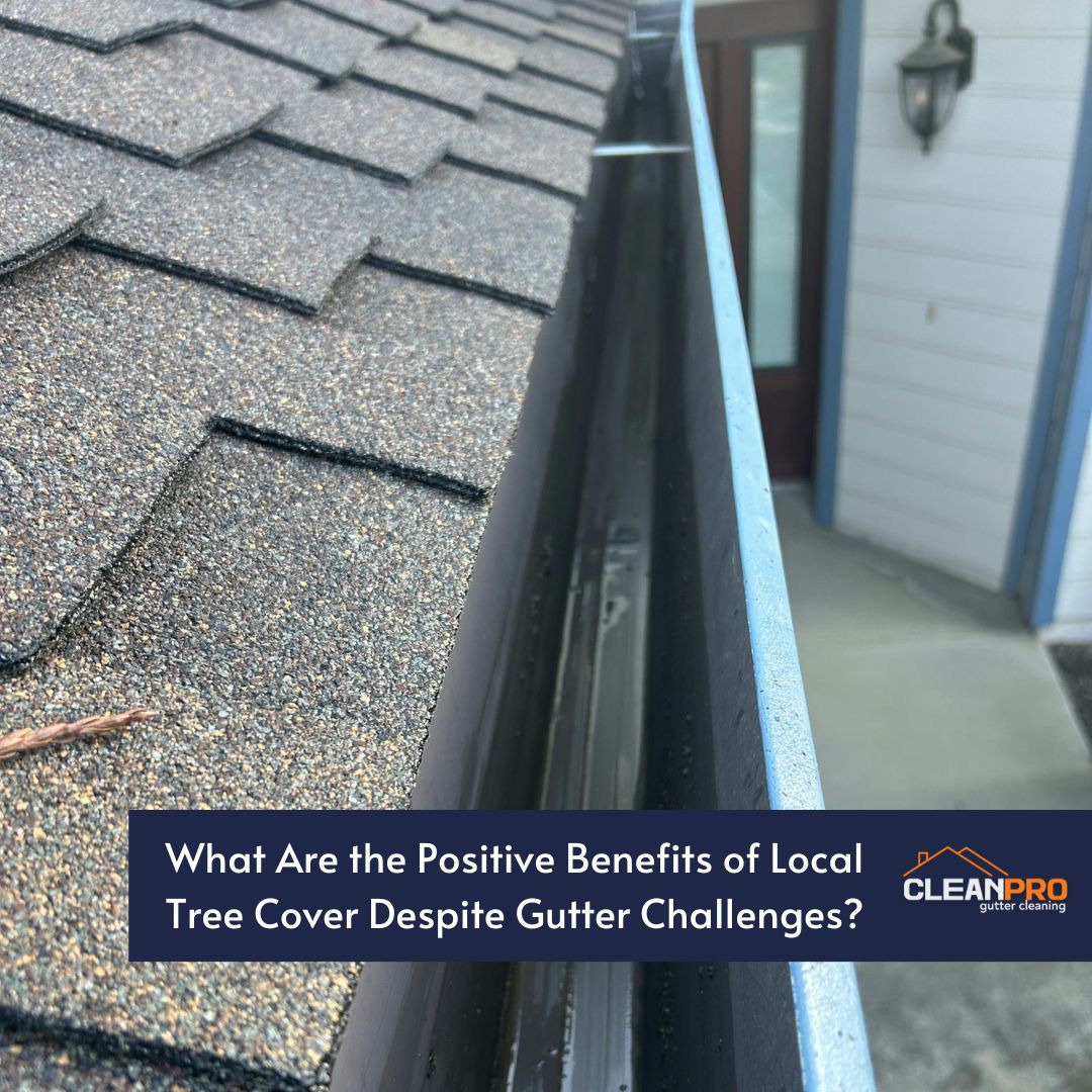 What Are the Positive Benefits of Local Tree Cover Despite Gutter Challenges?