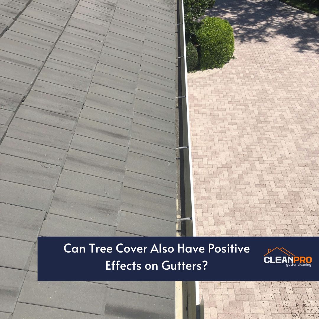 Can Tree Cover Also Have Positive Effects on Gutters?