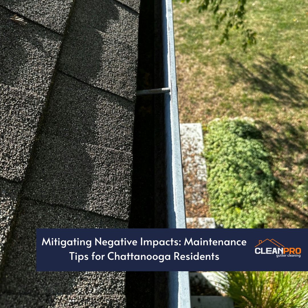 Mitigating Negative Impacts: Maintenance Tips for Chattanooga Residents