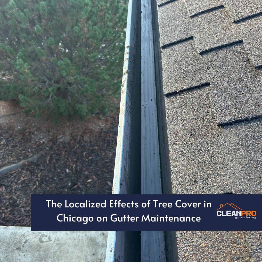 The Localized Effects of Tree Cover in Chicago on Gutter Maintenance