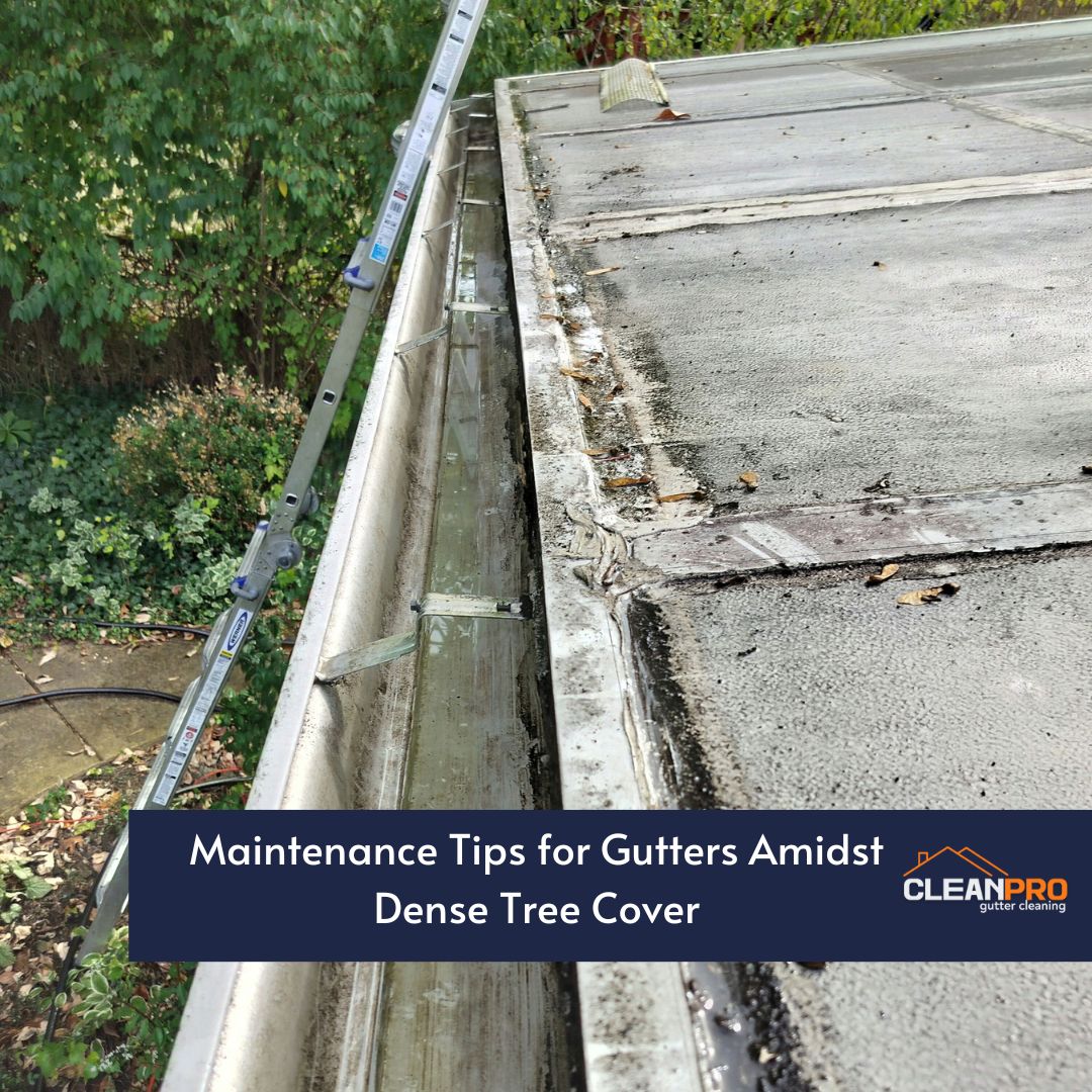 Maintenance Tips for Gutters Amidst Dense Tree Cover