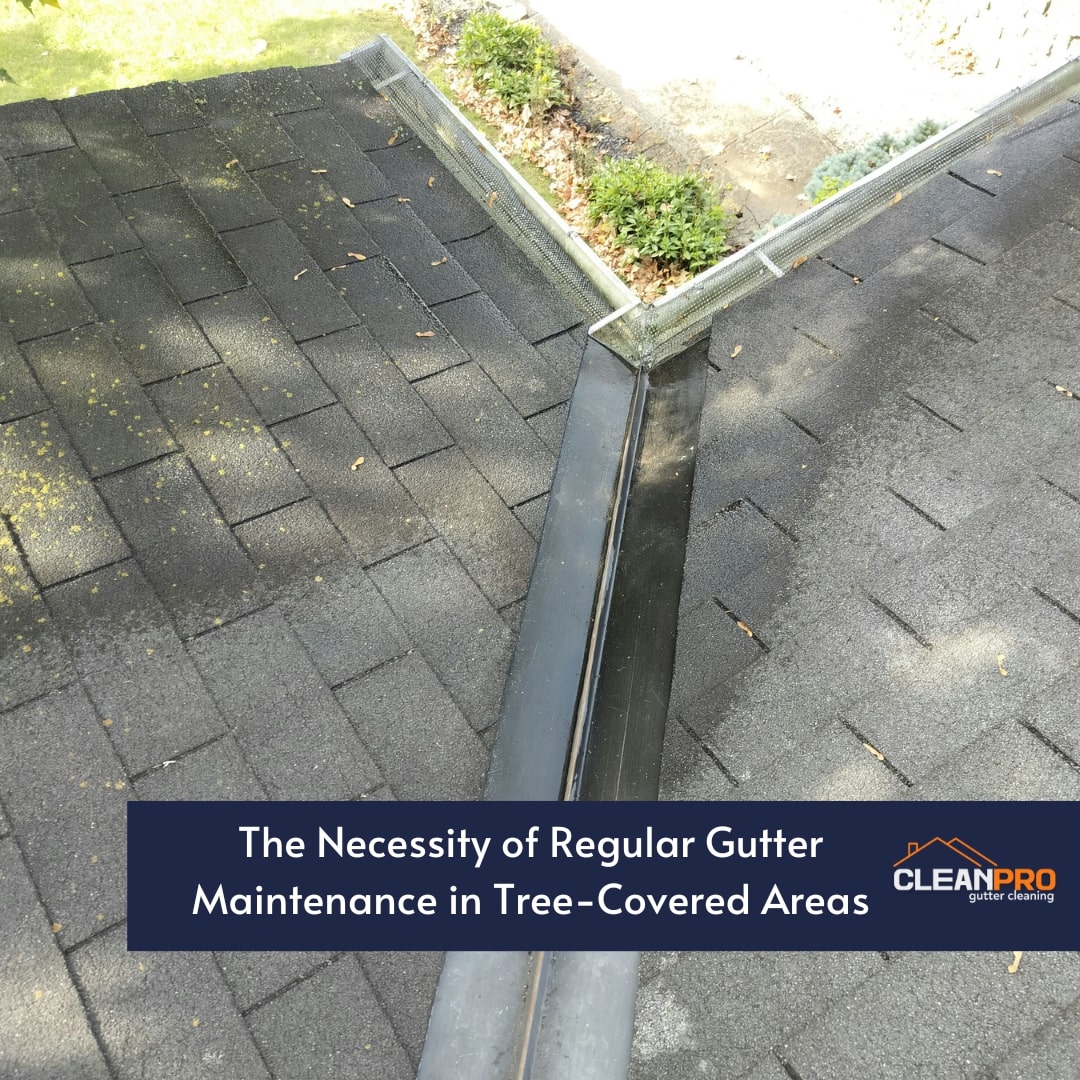 The Necessity of Regular Gutter Maintenance in Tree-Covered Areas