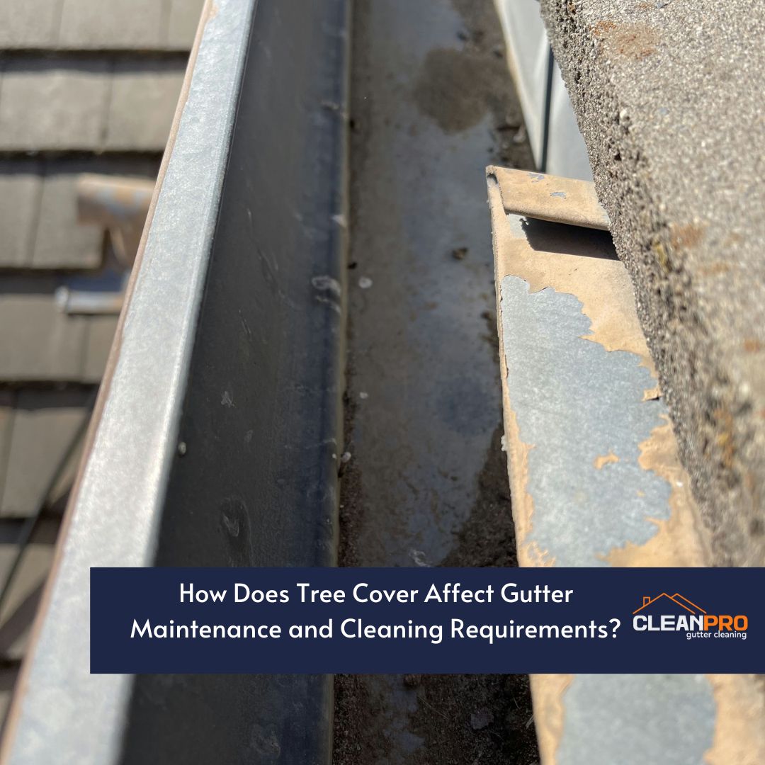 How Does Tree Cover Affect Gutter Maintenance and Cleaning Requirements?
