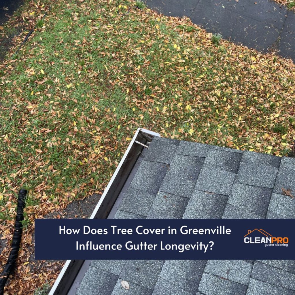 The Effect of Local Tree Cover on Your Gutters in Greenville, NC