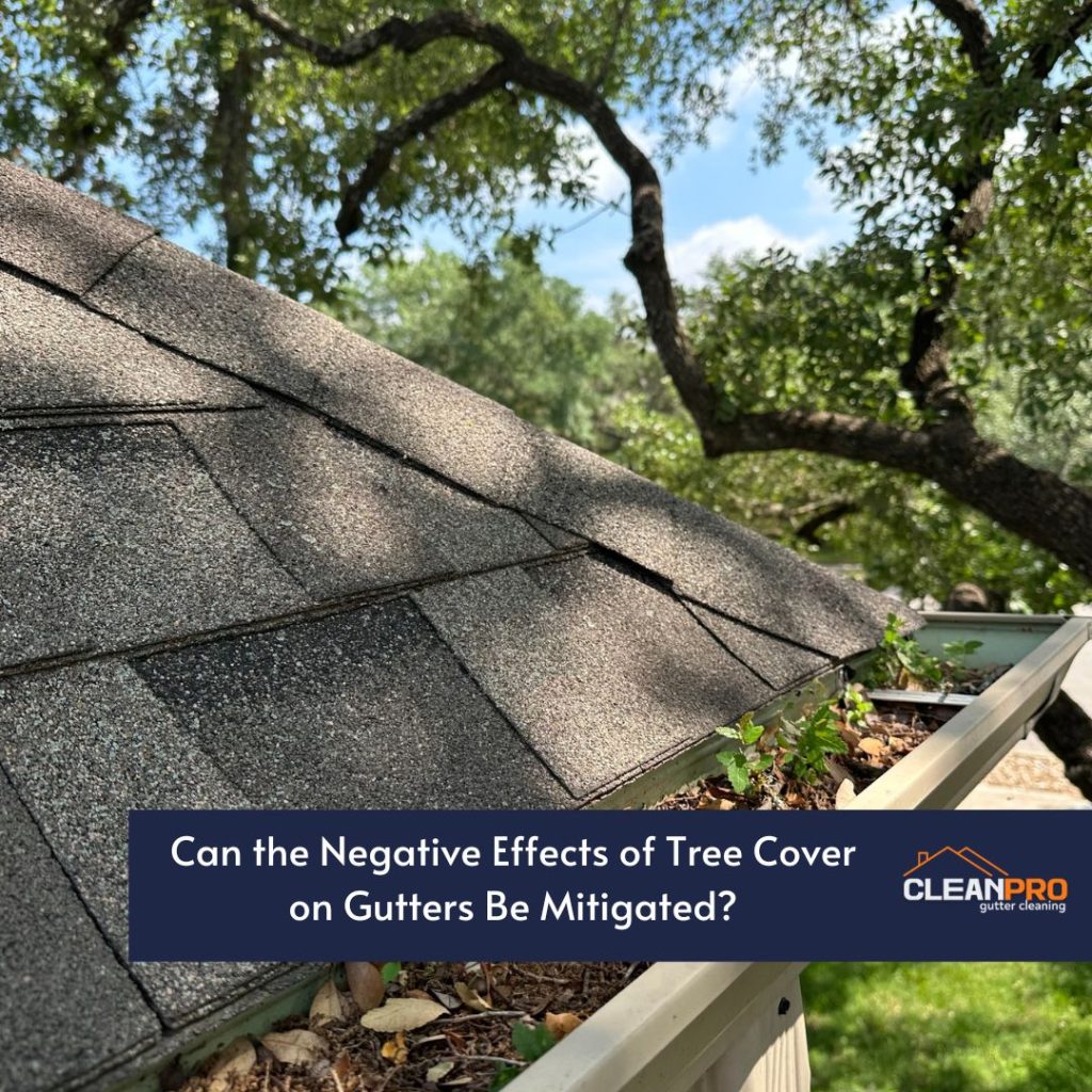 The Effect of Local Tree Cover on Your Gutters in Jacksonville, FL