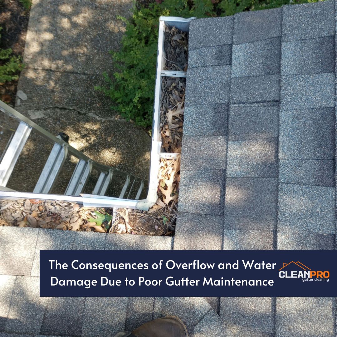 The Consequences of Overflow and Water Damage Due to Poor Gutter Maintenance