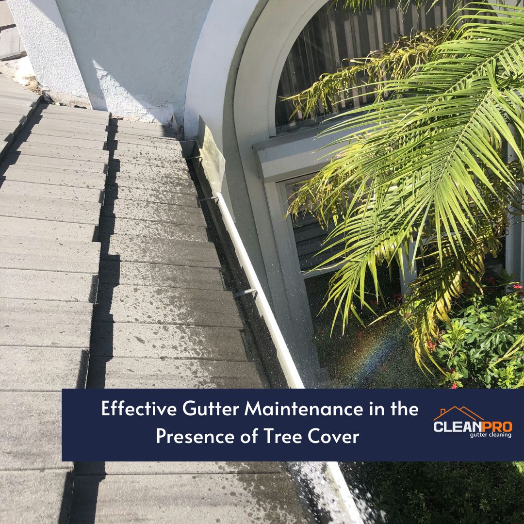 Effective Gutter Maintenance in the Presence of Tree Cover