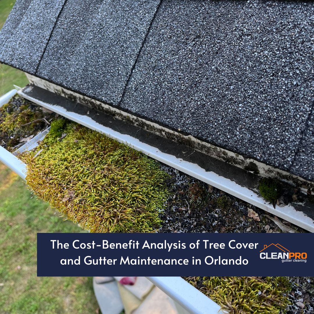The Cost-Benefit Analysis of Tree Cover and Gutter Maintenance in Orlando