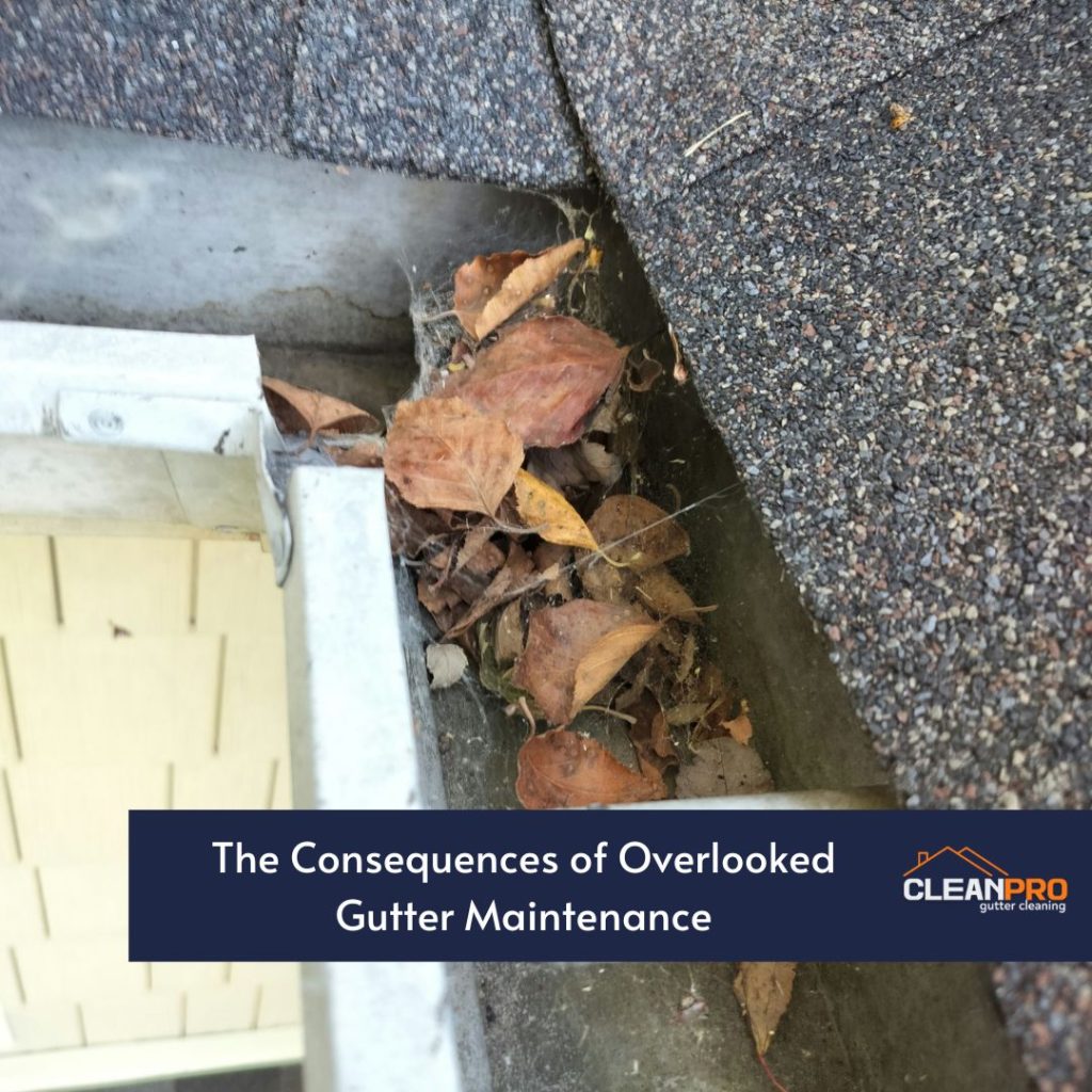 The Effect of Local Tree Cover on Your Gutters in Overland Park, KS