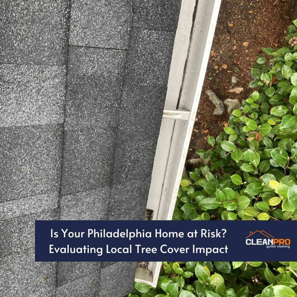 The Effect of Local Tree Cover on Your Gutters in Philadelphia, PA