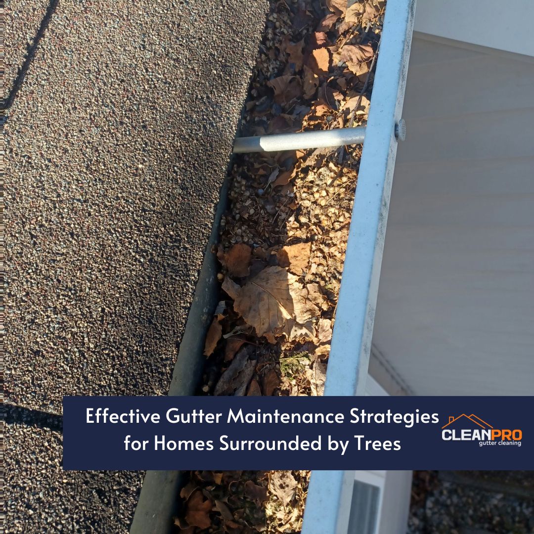 Effective Gutter Maintenance Strategies for Homes Surrounded by Trees