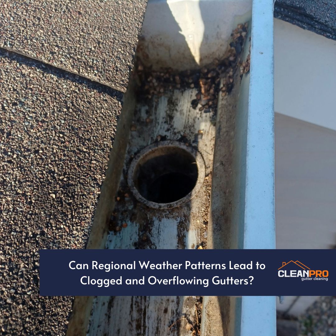 Can Regional Weather Patterns Lead to Clogged and Overflowing Gutters?