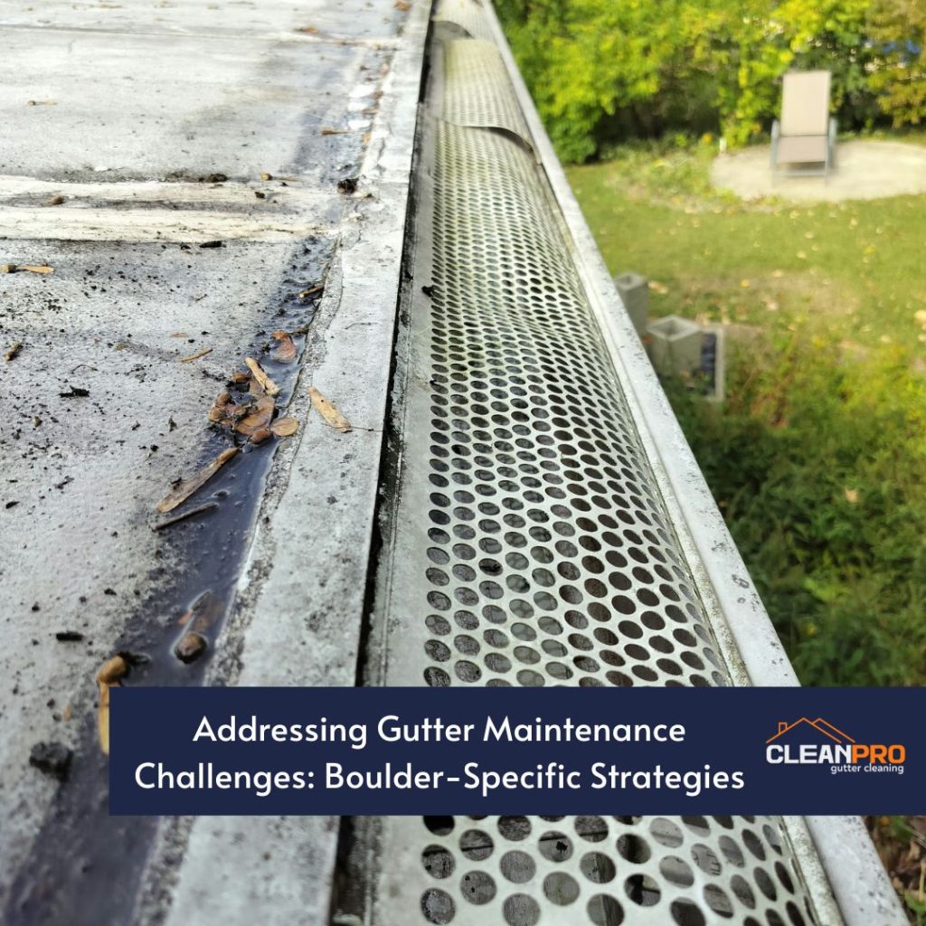 Addressing Gutter Maintenance Challenges: Boulder-Specific Strategies