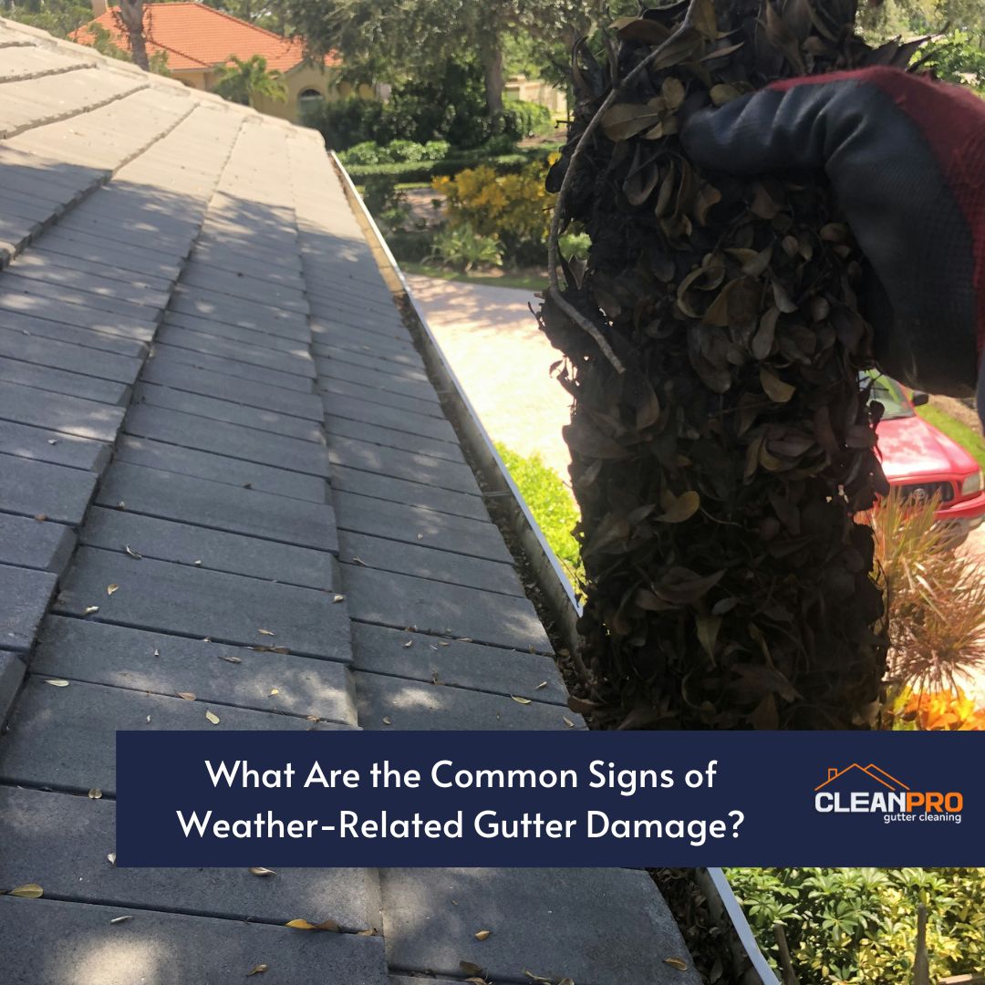 What Are the Common Signs of Weather-Related Gutter Damage?