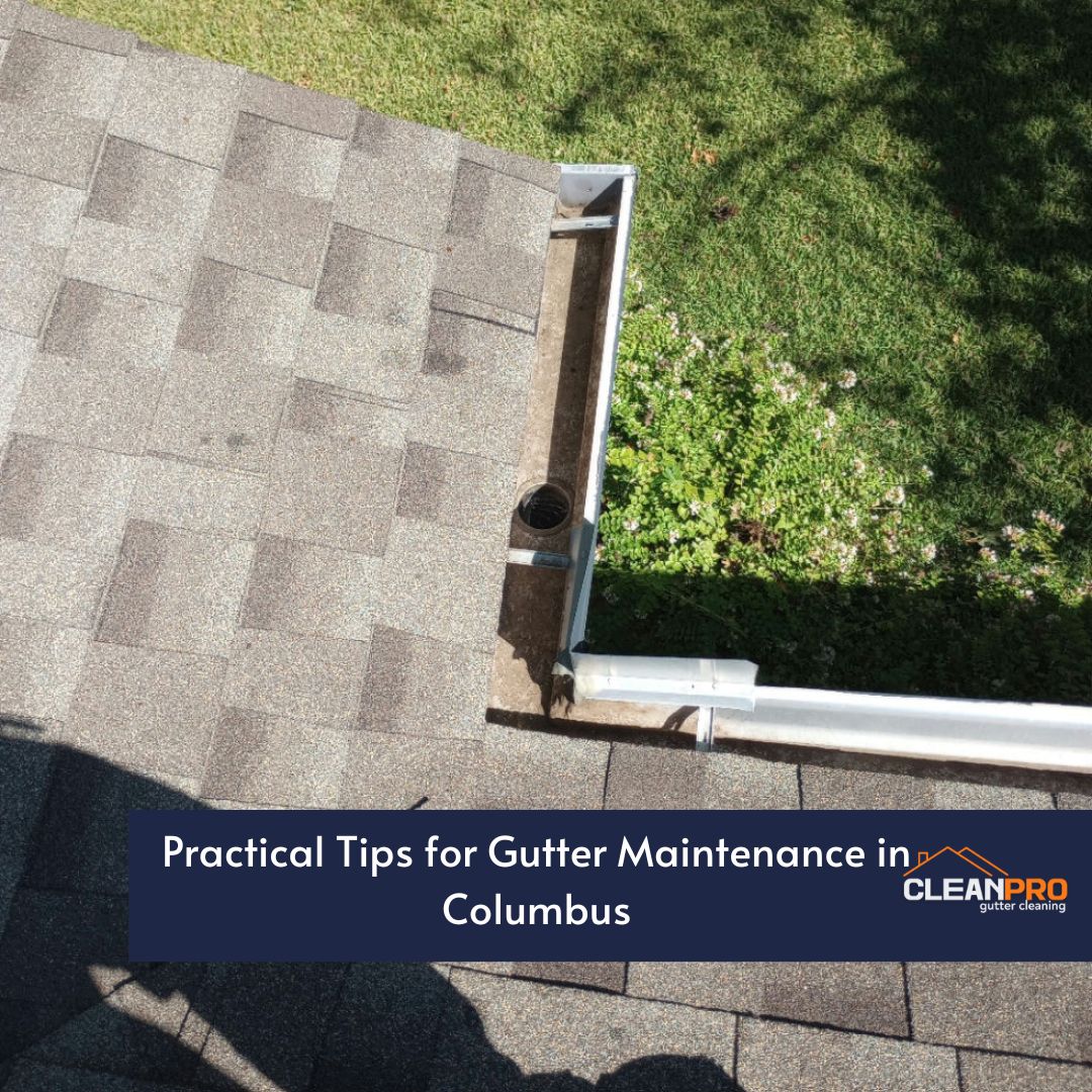 Practical Tips for Gutter Maintenance in Columbus