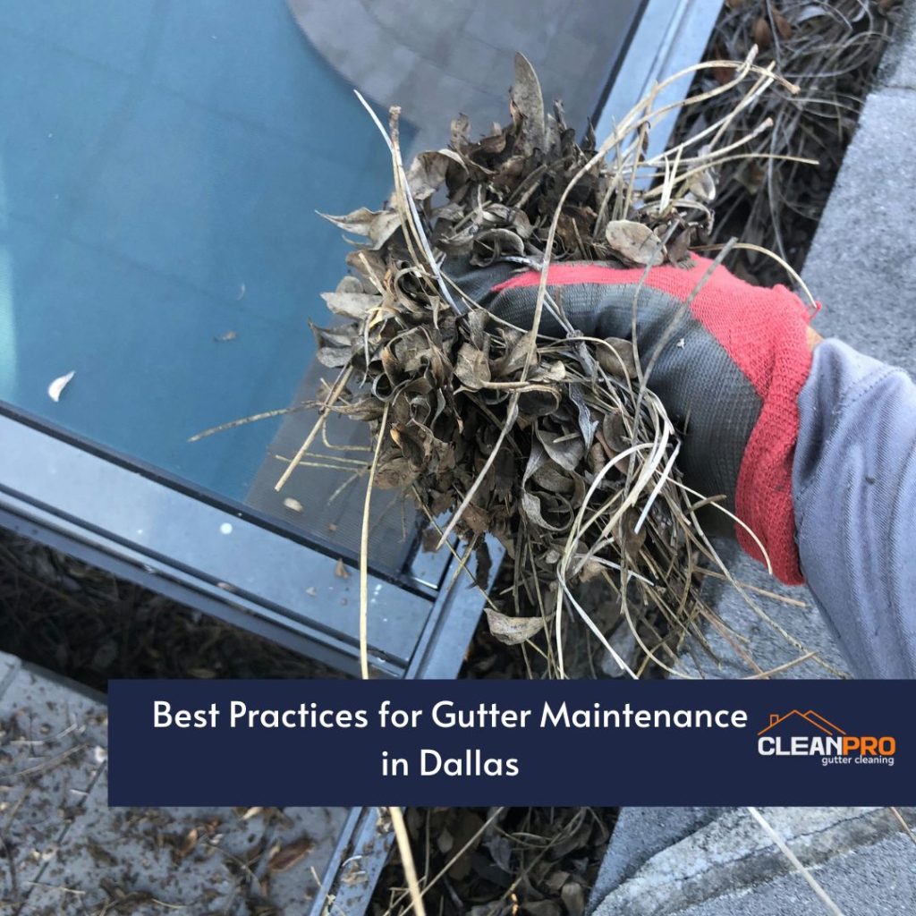 The Impact of Local Weather Patterns on Gutter Maintenance in Dallas, TX