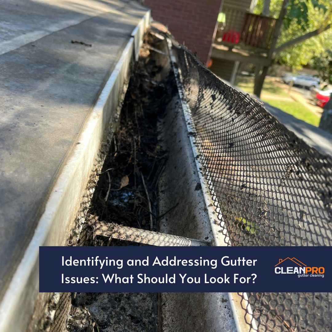 Identifying and Addressing Gutter Issues: What Should You Look For?