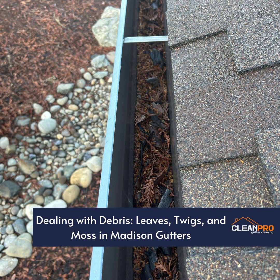 Dealing with Debris: Leaves, Twigs, and Moss in Madison Gutters