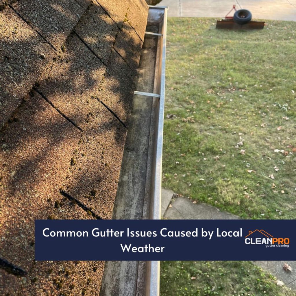 The Impact of Local Weather Patterns on Gutter Maintenance in Newport New, VA