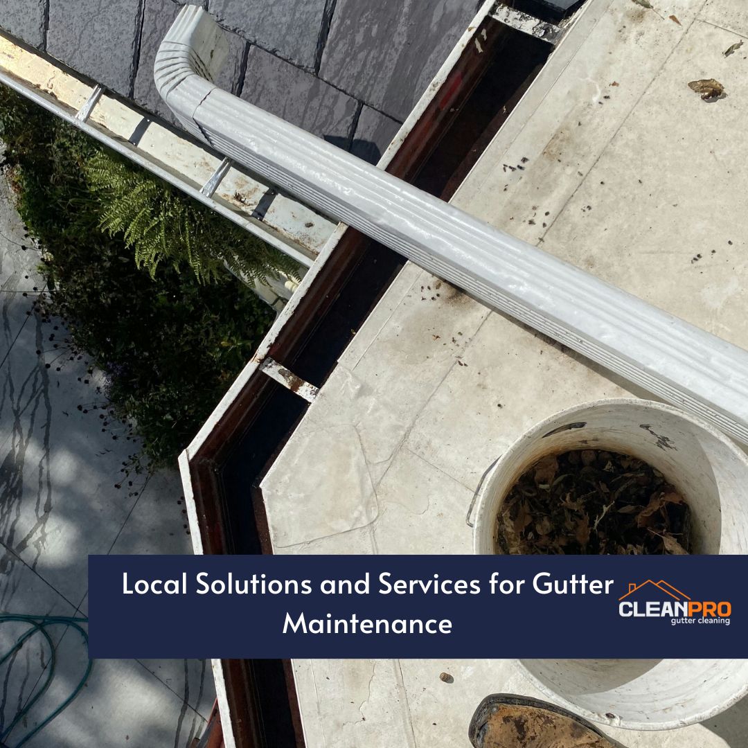 Local Solutions and Services for Gutter Maintenance