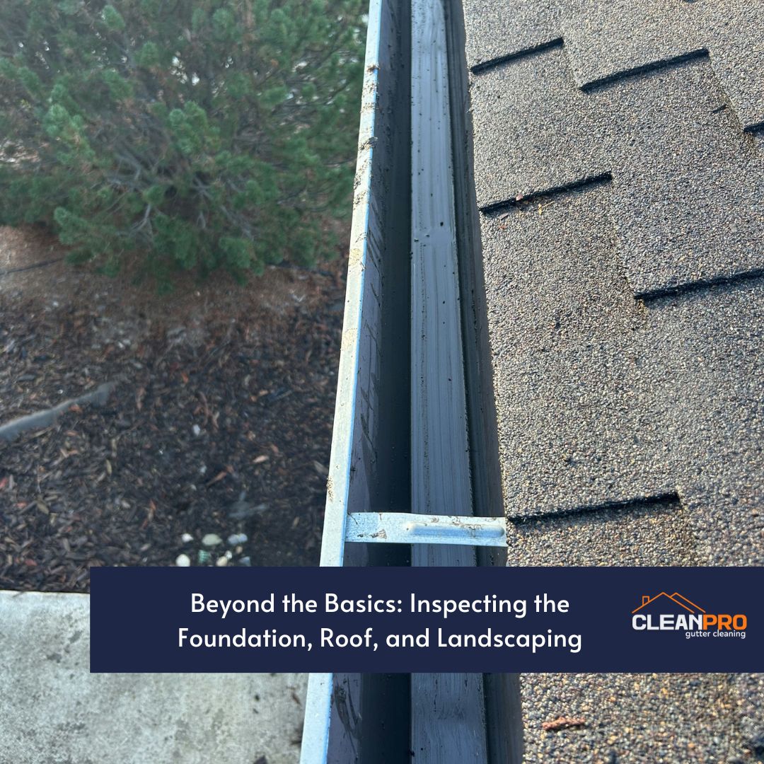 Beyond the Basics: Inspecting the Foundation, Roof, and Landscaping