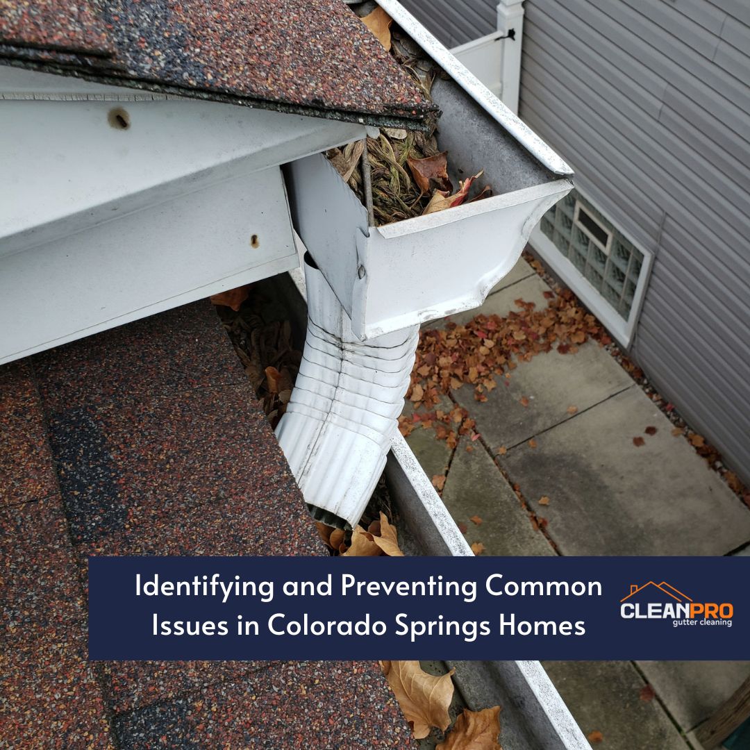 Identifying and Preventing Common Issues in Colorado Springs Homes