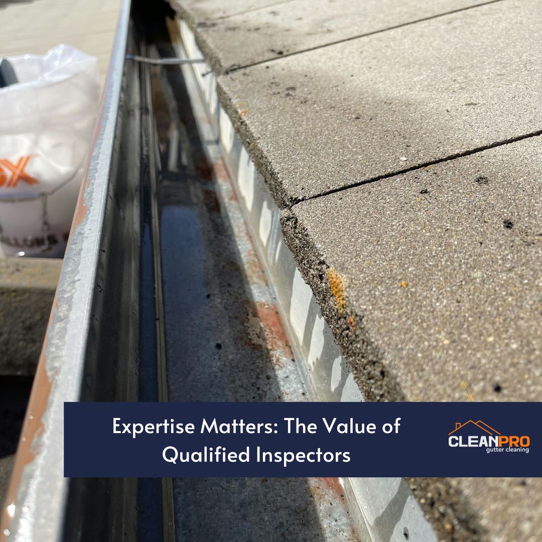 Expertise Matters: The Value of Qualified Inspectors