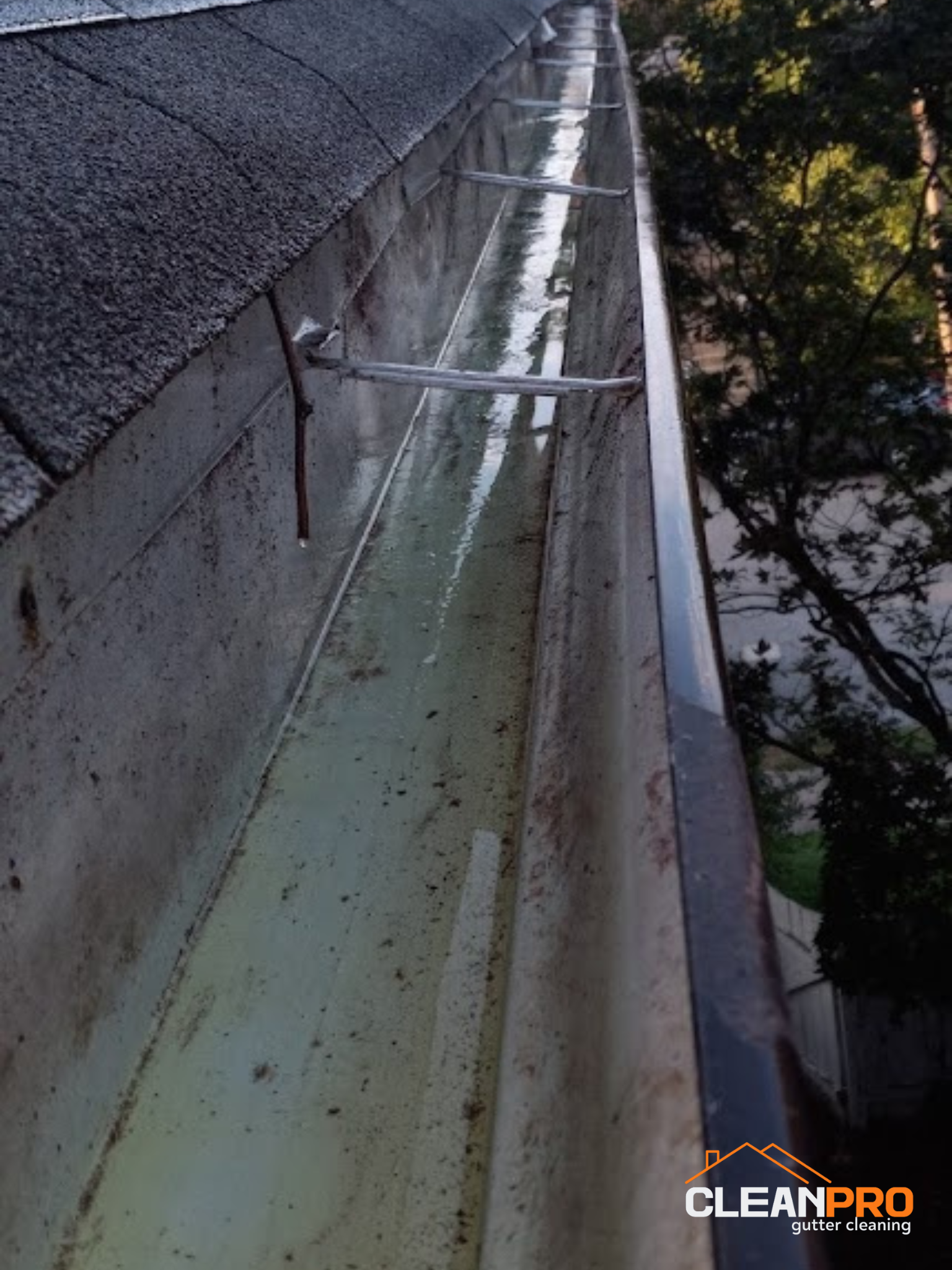 Top Notch Gutter Cleaning Service in Boulder