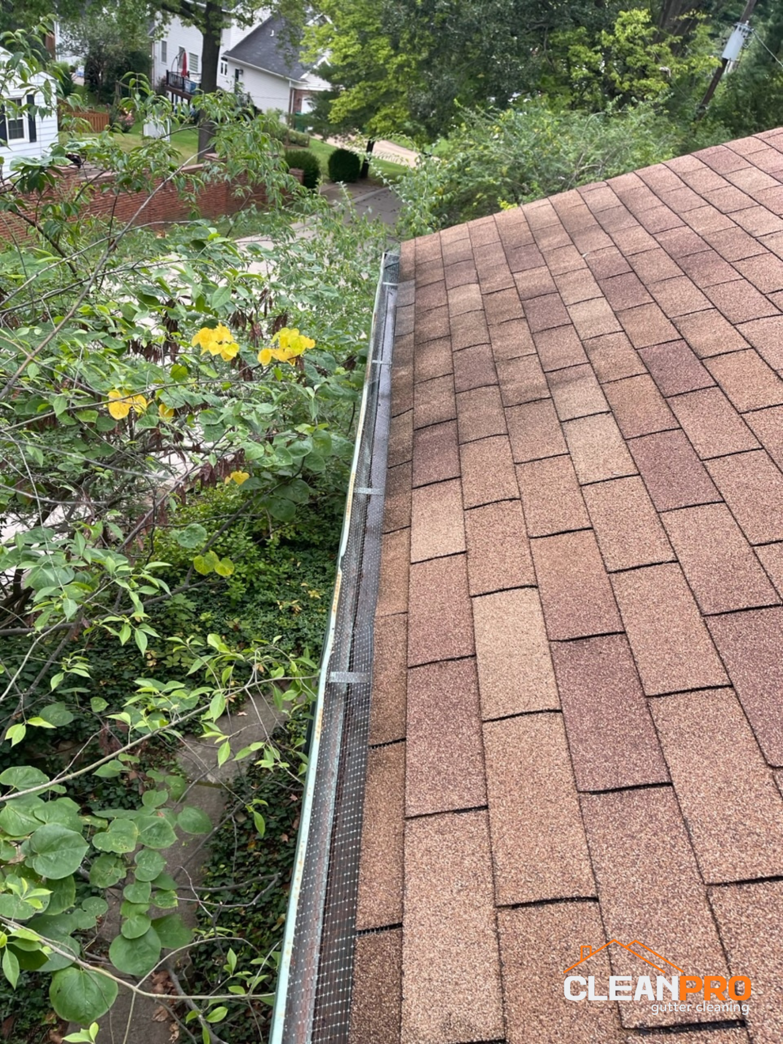 Professional Milwaukee Gutter Cleaners