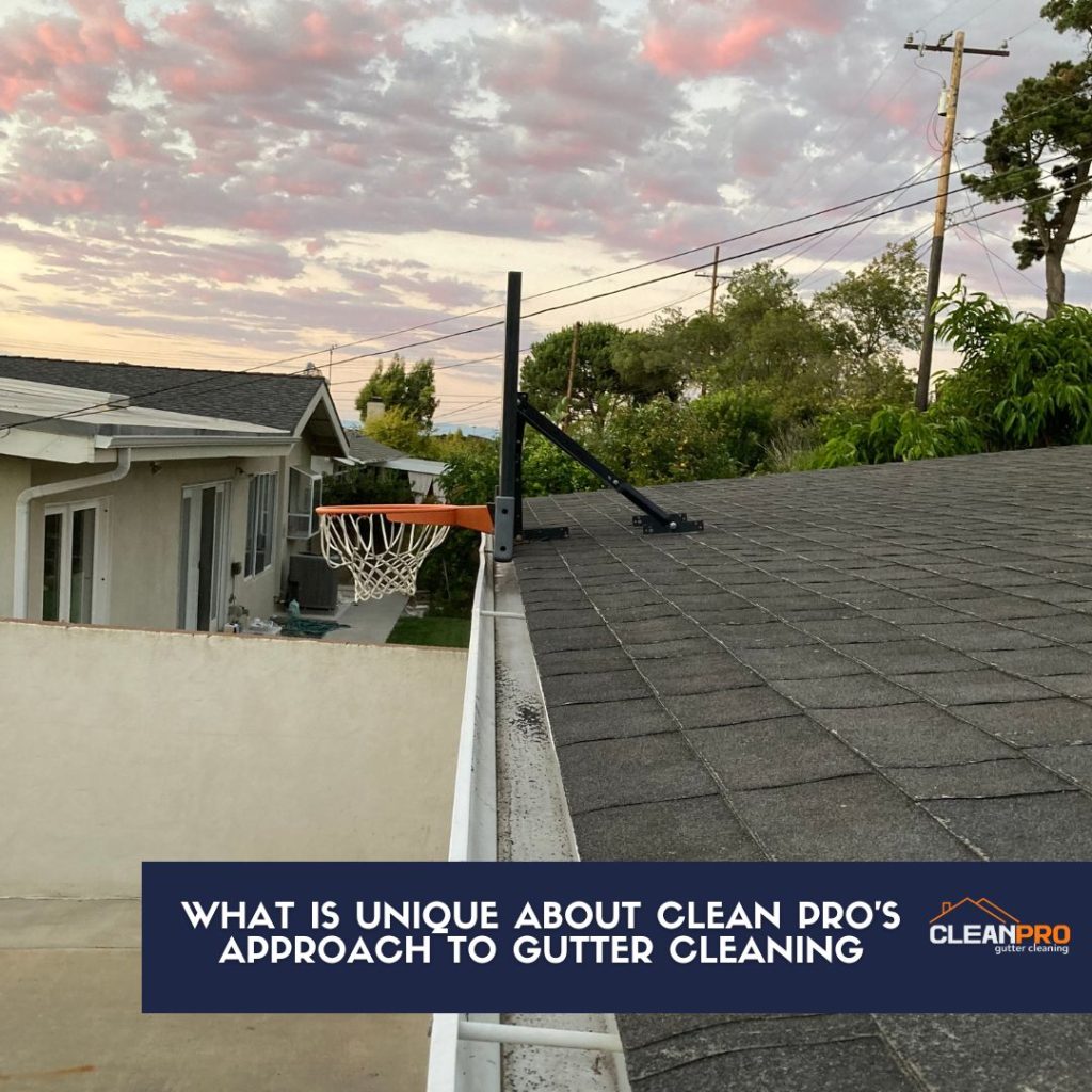 Clean Pro's Approach To Gutter Cleaning Is Unique