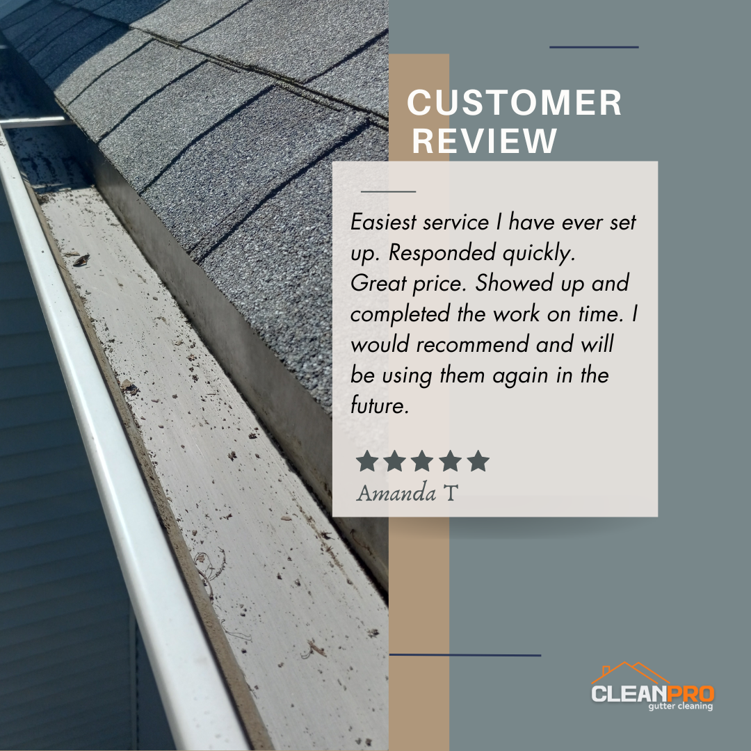 Amanda from Detroit, MI gives us a 5 star review for a recent gutter cleaning service.