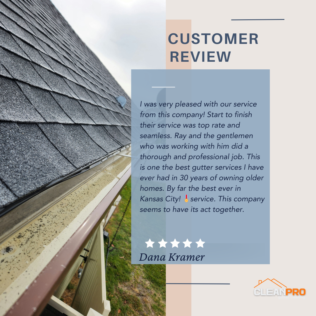 Dana in Kansas City gives us a 5 star review for a recent gutter cleaning service.