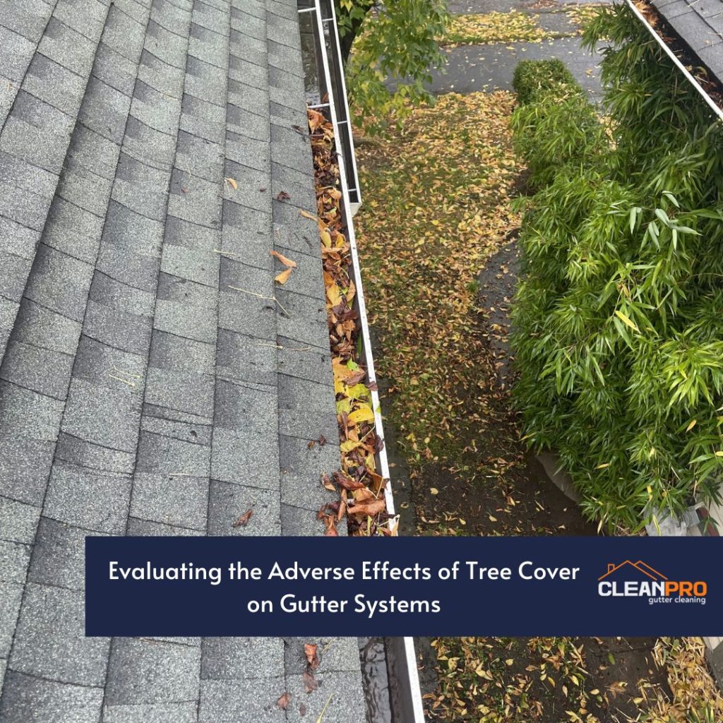 Evaluating the Adverse Effects of Tree Cover on Gutter Systems