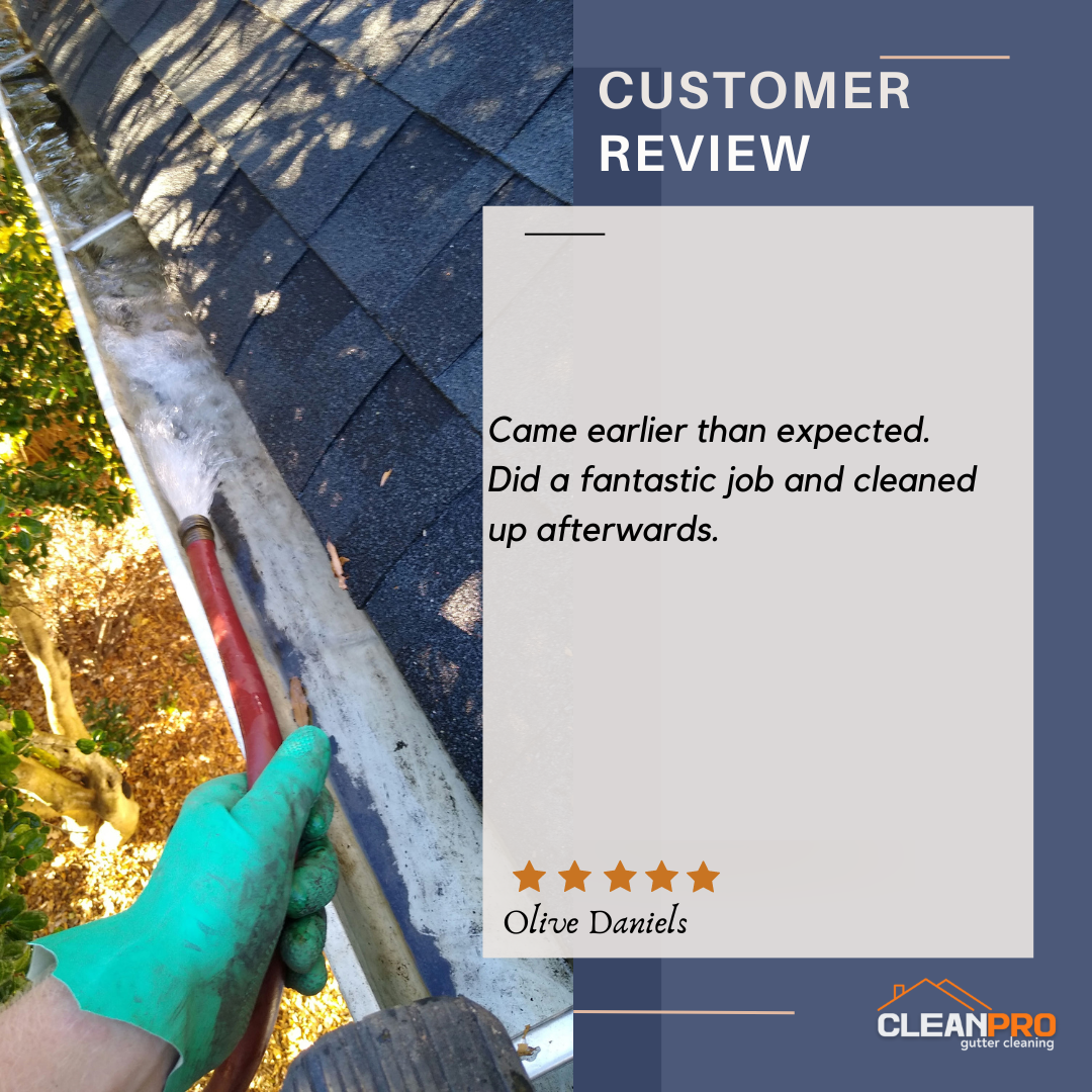 Olive from Roanoke, VA gives us a 5 star review for a recent gutter cleaning service.