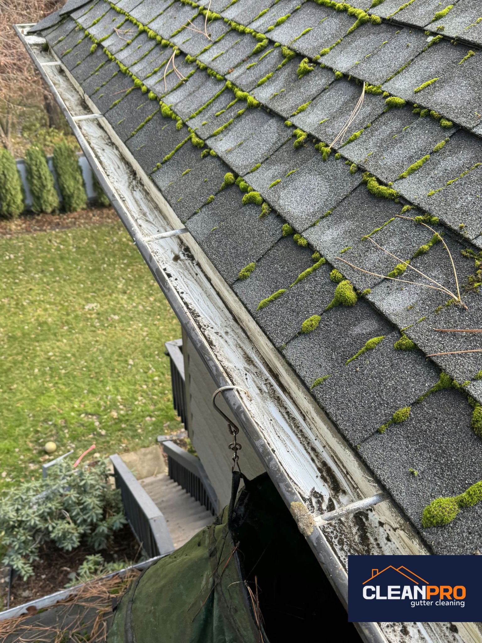 Local Gutter Cleaning in Dallas 