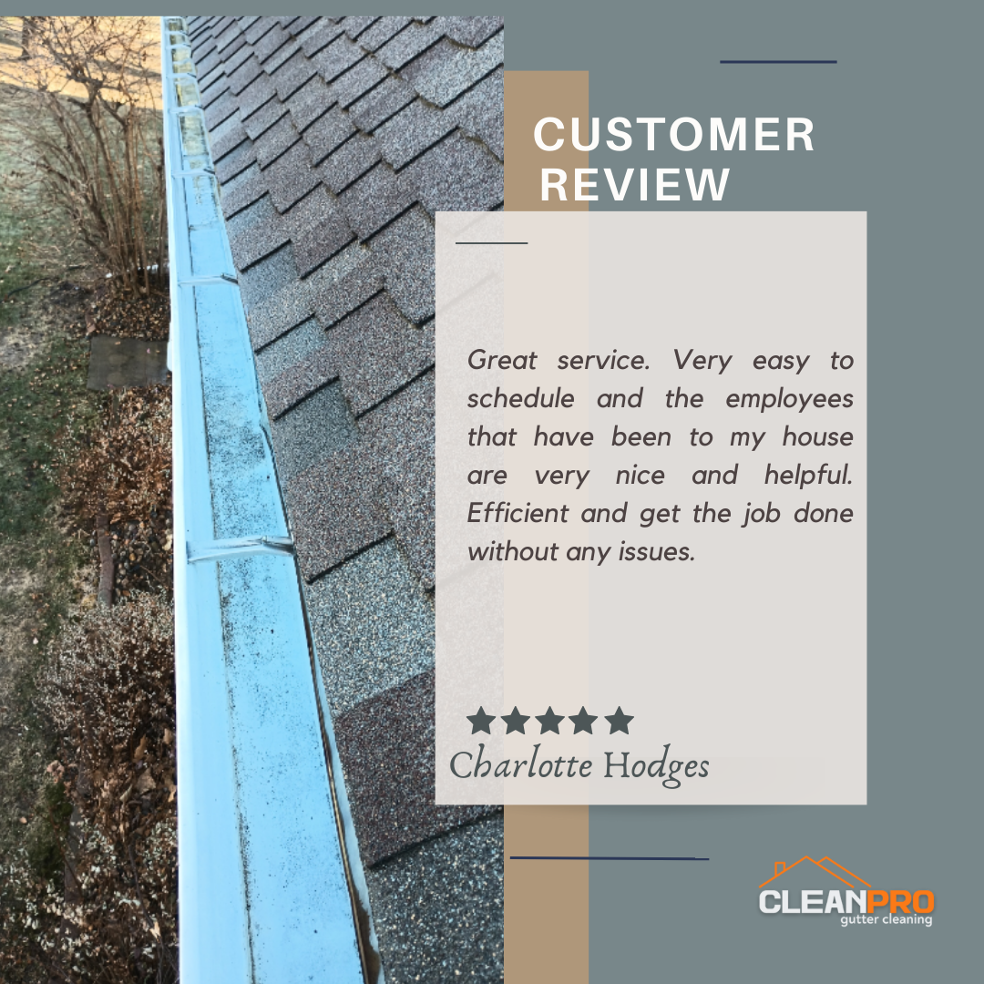 Charlotte From Dallas TX, gives us a 5 star review for a recent gutter cleaning service.