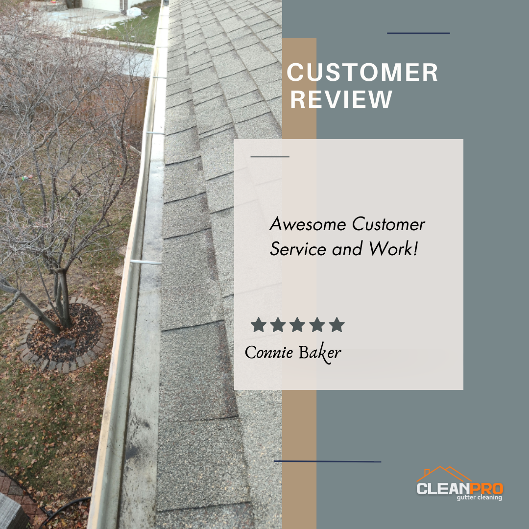 Connie From Sylva NC, gives us a 5 star review for a recent gutter cleaning service.